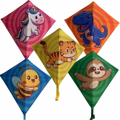 Rhombus Skyfriends Junior Vlieger Assorti