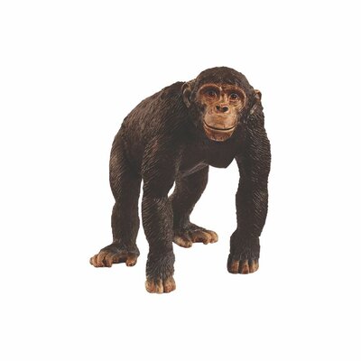 Schleich Wild Life Chimpansee