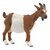 Schleich Farm World Geit
