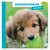 Boek Dierenvriendjes Huisdieren