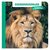 Boek Dieren in de Dierentuin