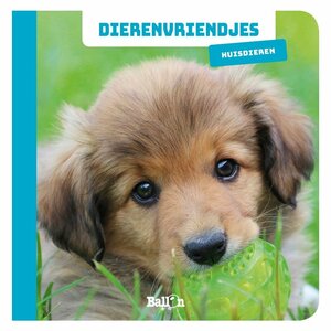 Boek Dierenvriendjes Huisdieren