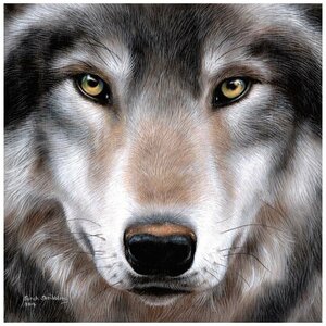 Craft Buddy Crystal Art Wolf 30x30 cm Craft Buddy Crystal Art Wolf 30x30 cm