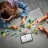 Lego Botanicals 10347 Klein Zomers Boeket_