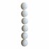 SportX Tafeltennisballen 6 Stuks Wit_