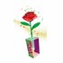 Clementoni Idea Geurende Bloemen Maken Rozen_