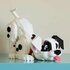 Lego Disney 43269 101 Dalmatiërs Puppy_