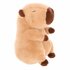 Pluchiez Knuffel Capibara 23 cm_