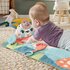 Fisher Price Roly Poly Panda Speelmat_