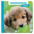 Boek Dierenvriendjes Huisdieren_