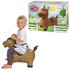 Skippy Buddy Paard_
