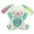 Clementoni Baby Knuffel Konijn Noorderlicht + Licht en Geluid_
