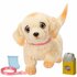 Little Live Pets Ouchies Puppy Cooper + Licht en Geluid_