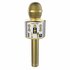 IDance Bluetooth Party Microfoon Goud_