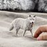 Schleich Wild Life Poolwolf_