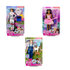 Barbie 65th Anniversary Carrière Pop Assorti_
