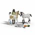 Schleich Horse Club Sarah's EHBO Set_