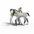 Schleich Horse Club Sarah's EHBO Set_