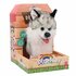 Pluchiez Blaffende Husky Hajko_