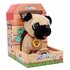Pluchiez Blaffende Franse Bulldog Frankie_