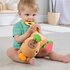 Fisher Price New Born Sensimals Snacky Capibara_