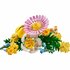 Lego Botanicals 10347 Klein Zomers Boeket_