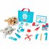 Melissa & Doug Dierenarts Speelset_