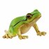 Schleich Wild Life Europese Boomkikker_