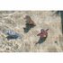 Little Dutch Dreamy Mermaid Duikfiguren 3 Stuks_