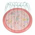 Little Dutch Dreamy Mermaid Sprinklermat 150 cm Roze_