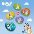 SES Creative Stenen Schilderen Bluey_
