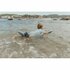 Little Dutch Ocean World Luchtbed met Staart 118 cm Blauw_