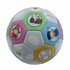 Fien & Teun Mini Bal 16 cm_