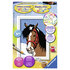 Ravensburger Schilderen Op Nummer Paardenblik_